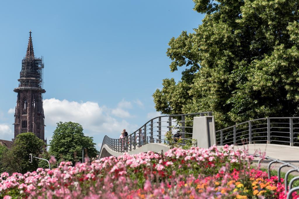 Boutique Apartments Am Stadtgarten Freiburg im Breisgau Luaran gambar